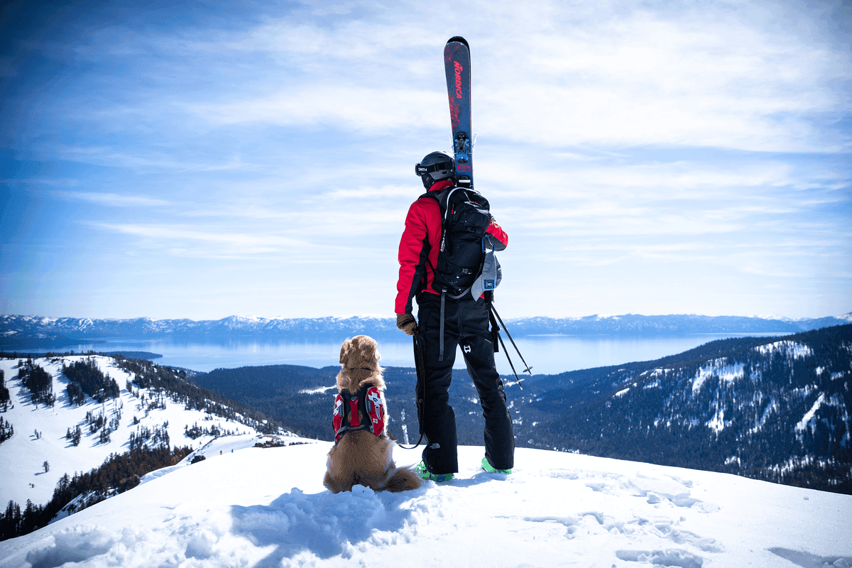 Patroller and his dog atop mountain looking out over panoramic view.
