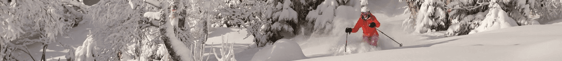 Skier enjoying a powder run in the glades at Sugarbush Resort